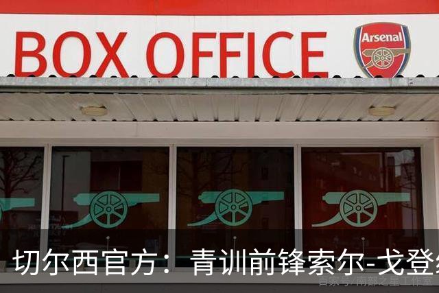 切尔西官方：青训前锋索尔-戈登续约至2029年