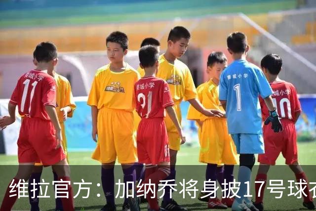 维拉官方：加纳乔将身披17号球衣；这是他在曼联穿过的号码