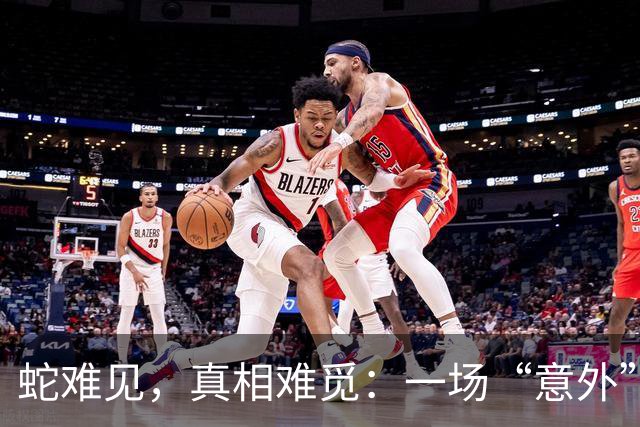 蛇难见，真相难觅：一场“意外”背后的迷局